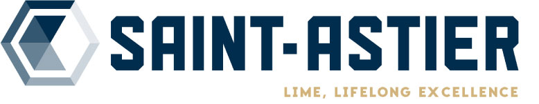 Lime Green Logo